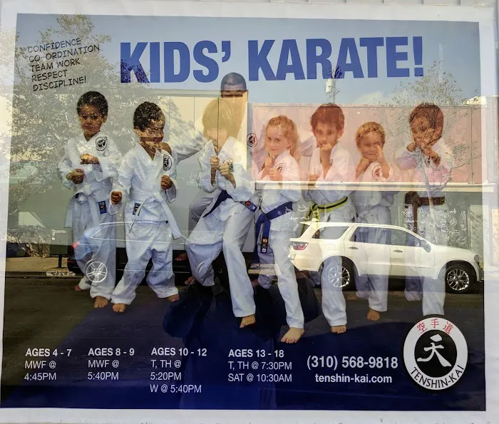 Tenshin-Kai Taichi & Karate Picture 2
