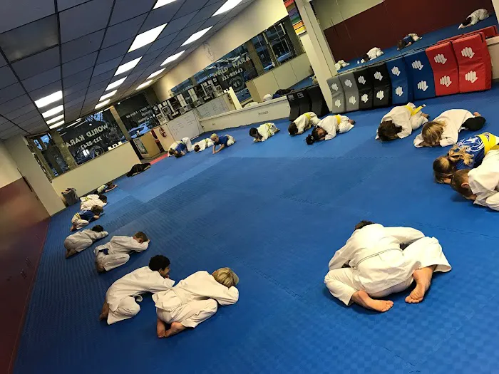 World Karate Picture 5