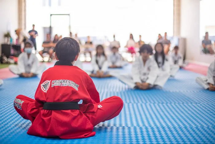 Progression Taekwondo Picture 2