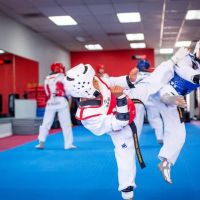 Progression Taekwondo ico