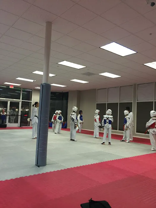 Salim's Taekwondo Center Picture 2