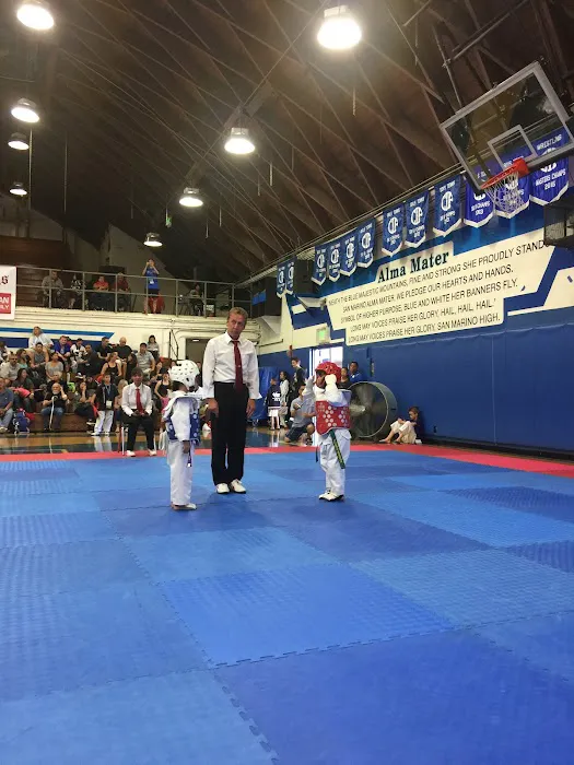 Salim's Taekwondo Center Picture 3