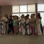 Salim's Taekwondo Center