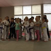 Salim's Taekwondo Center ico