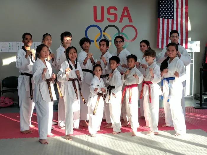 Salim's Taekwondo Center Picture 5