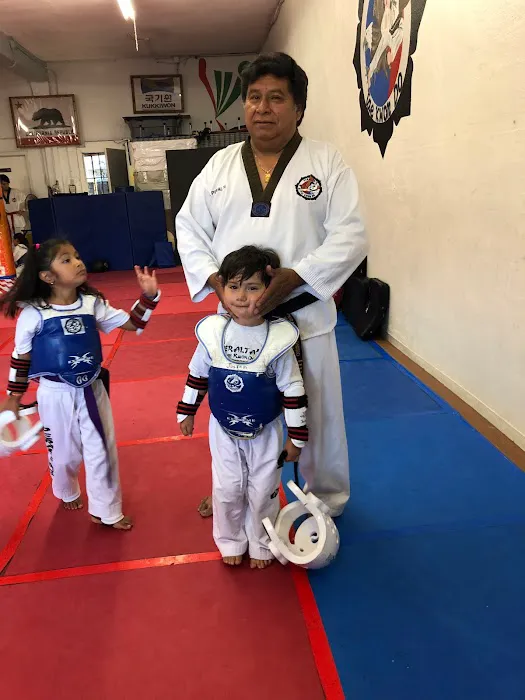 Peraltas Taekwondo Picture 1