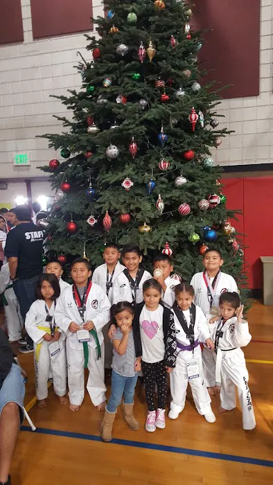 Peraltas Taekwondo Picture 2