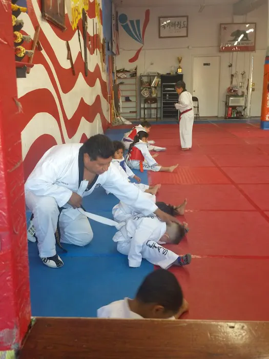 Peraltas Taekwondo Picture 6