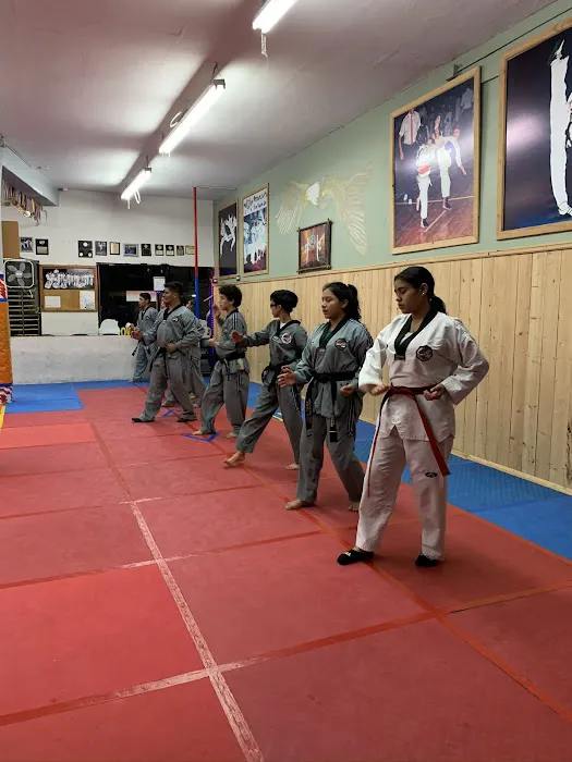 Peraltas Taekwondo Picture 3