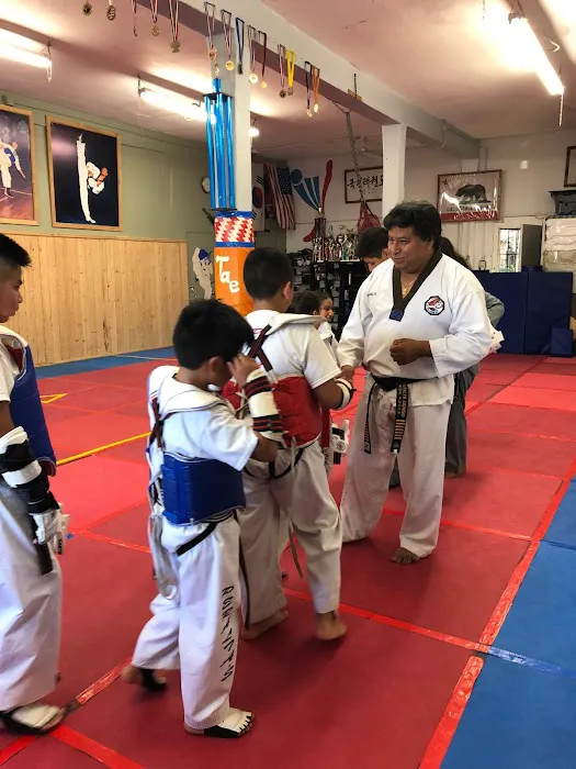 Peraltas Taekwondo Picture 8
