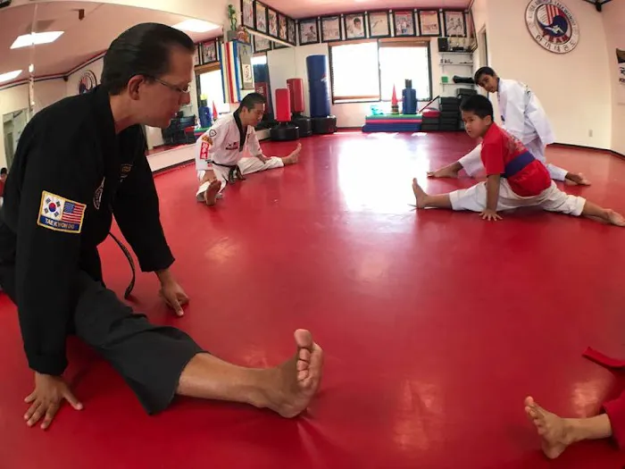 Hanmi Tae Kwon Do Academy Picture 1