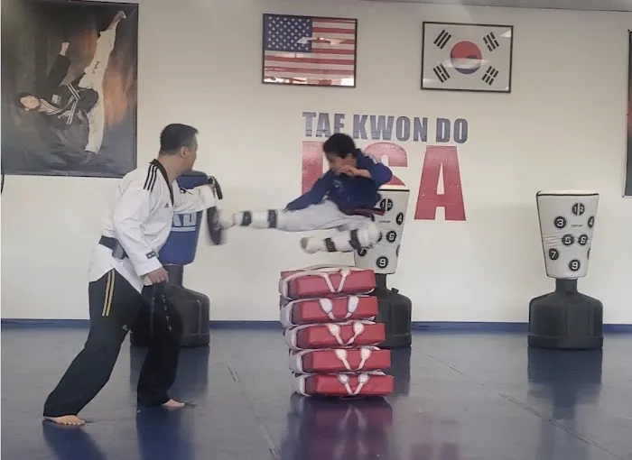Tae Kwon Do USA Picture 2
