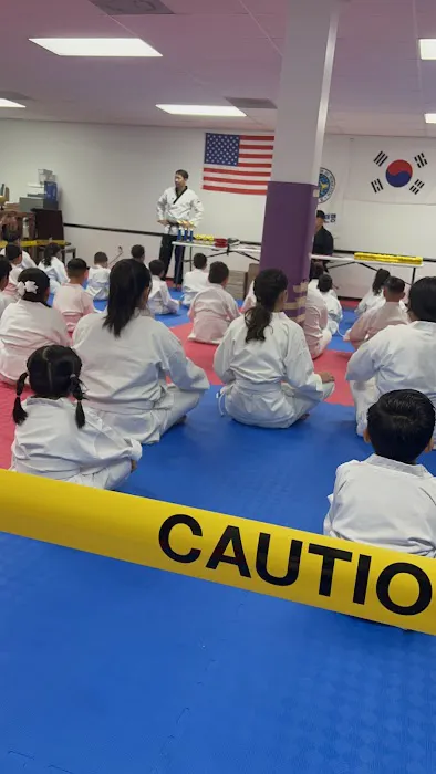 Jin Lee Taekwondo Picture 1