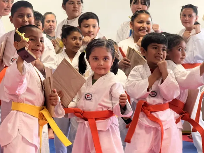 Jin Lee Taekwondo Picture 3