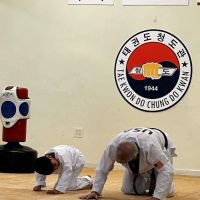 Chung Do Tae Kwon Do ico