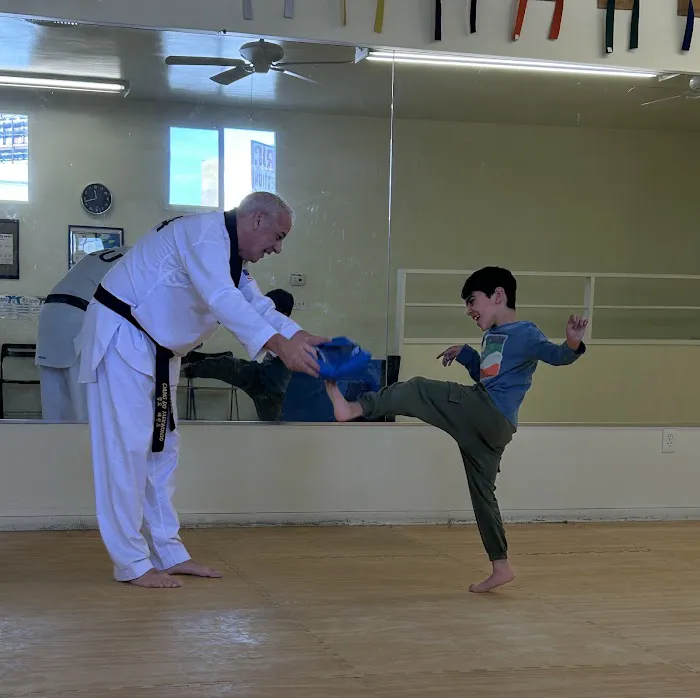 Chung Do Tae Kwon Do Picture 6