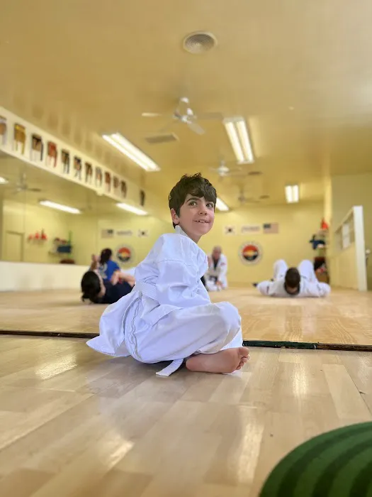 Chung Do Tae Kwon Do Picture 3