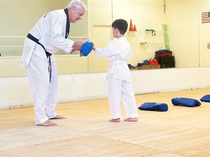 Chung Do Tae Kwon Do Picture 7