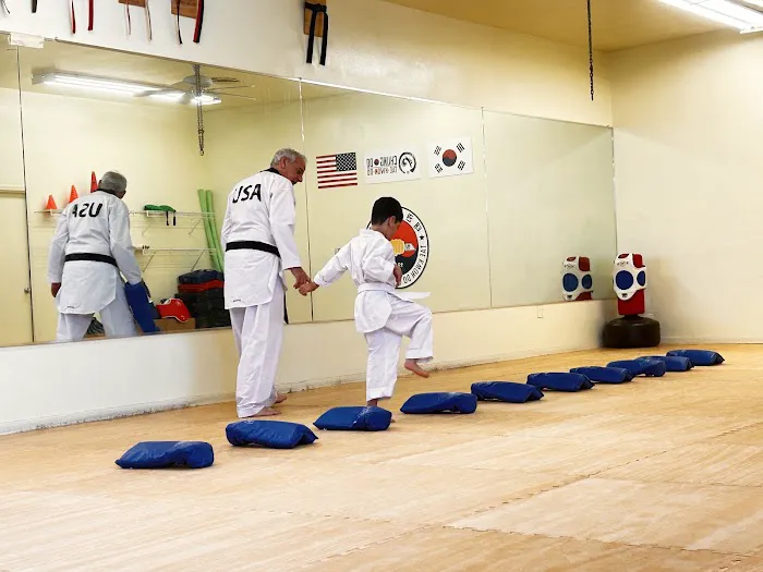 Chung Do Tae Kwon Do Picture 4
