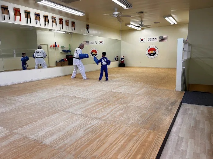 Chung Do Tae Kwon Do Picture 8