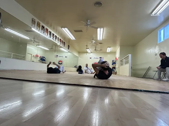 Chung Do Tae Kwon Do Picture 10