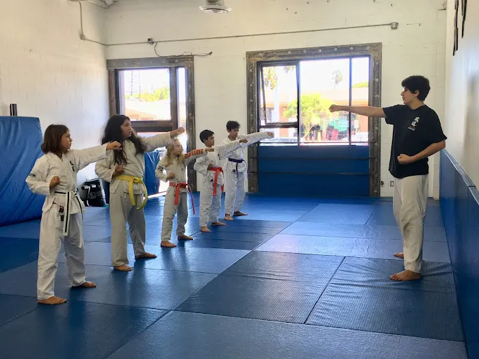 MuDo Integrated Martial Art Picture 2