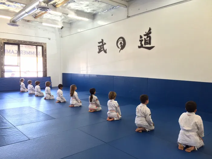 MuDo Integrated Martial Art Picture 6