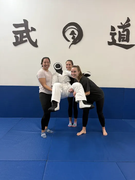 MuDo Integrated Martial Art Picture 5