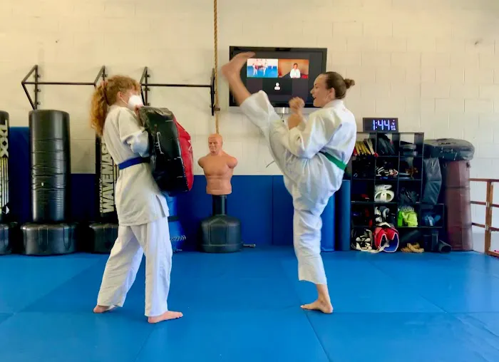 MuDo Integrated Martial Art Picture 10