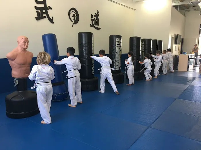 MuDo Integrated Martial Art Picture 7