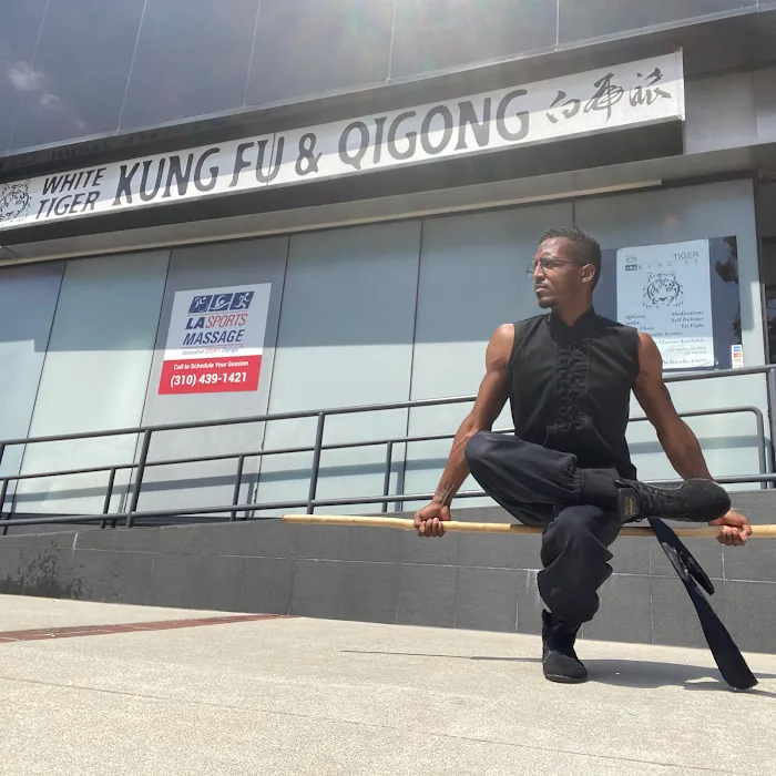 White Tiger Schools Picture 10