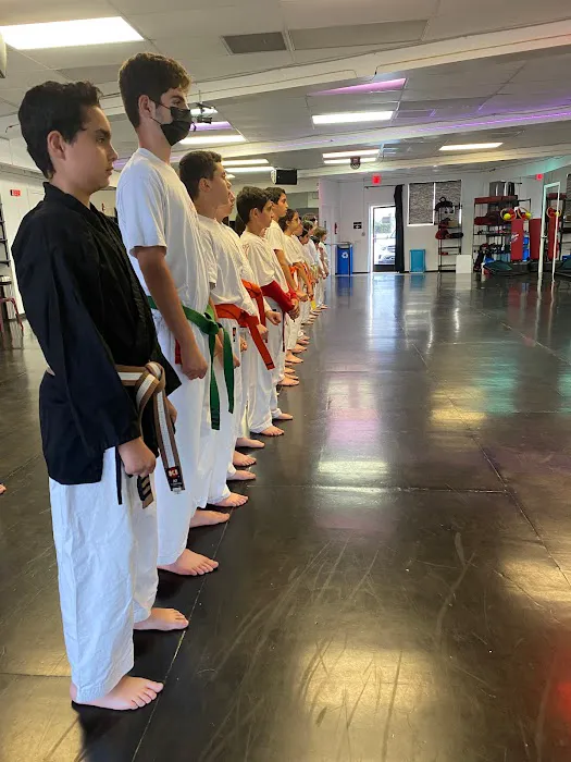 USA Martial Arts Center Picture 1