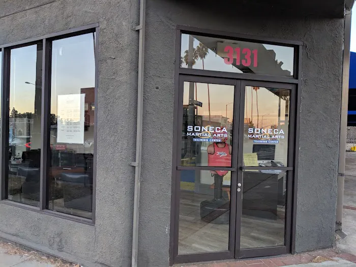 Soneca Martial Arts Picture 1