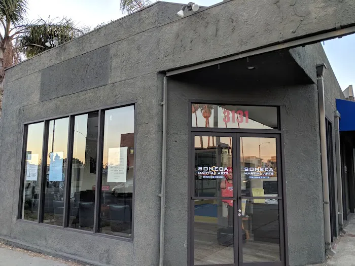 Soneca Martial Arts Picture 2