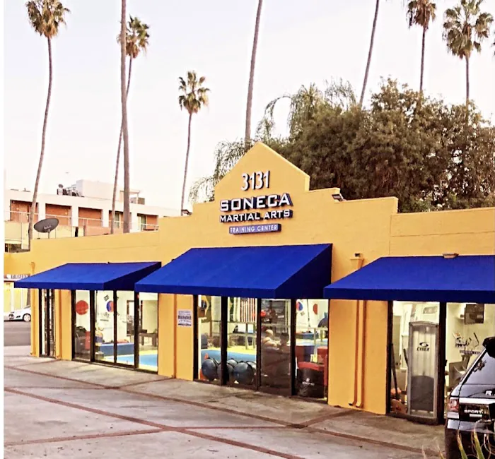 Soneca Martial Arts Picture 6