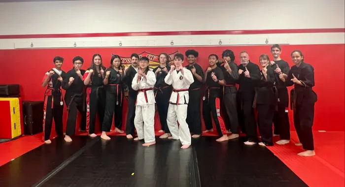 Power of One Martial Arts - Lakewood Picture 4