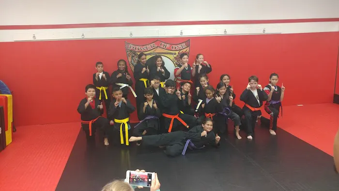 Power of One Martial Arts - Lakewood Picture 2