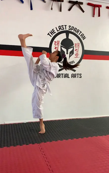 The Last Spartan Martial Arts Picture 1