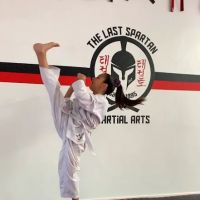 The Last Spartan Martial Arts ico