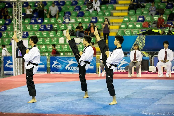 Elite Taekwondo Center Picture 4