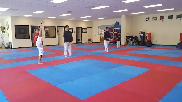 Elite Taekwondo Center Picture 2