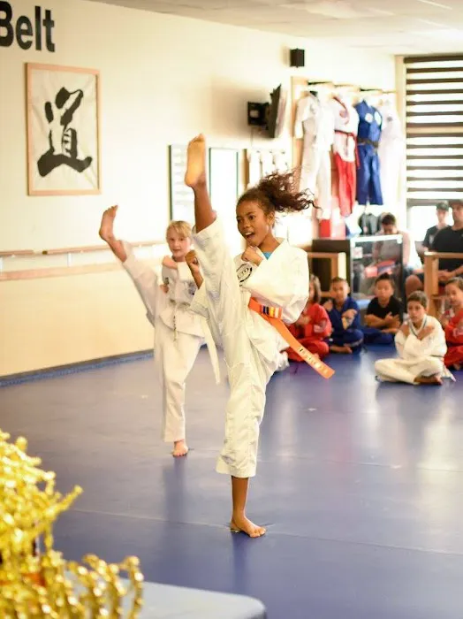 UTO Taekwondo Martial arts Picture 6