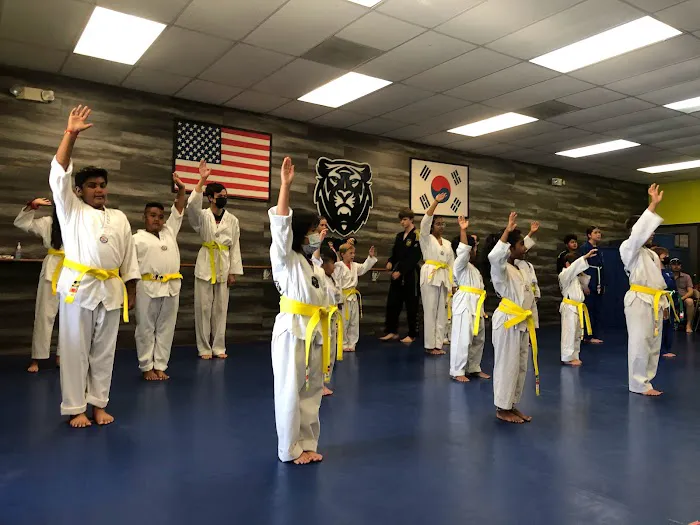 Yong-In Martial Arts_Cypress Picture 1