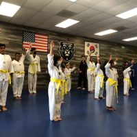 Yong-In Martial Arts_Cypress ico