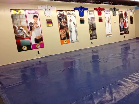 Tom Vo's Taekwondo Academy Picture 4