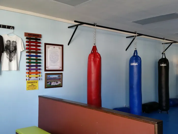 Kim's Hapkido Martial Arts Picture 6