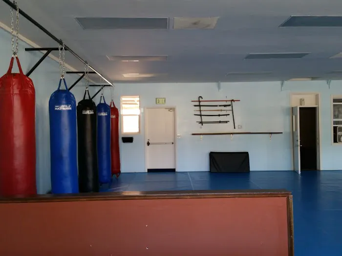 Kim's Hapkido Martial Arts Picture 5