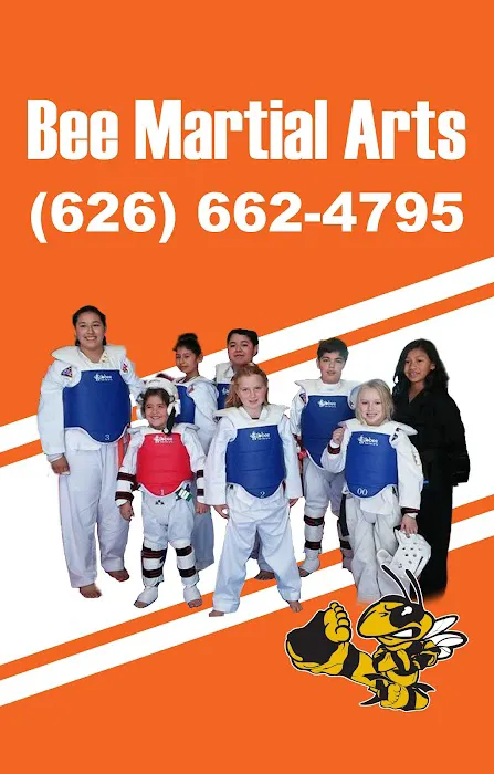 Bee Martial Arts Academy Picture 2