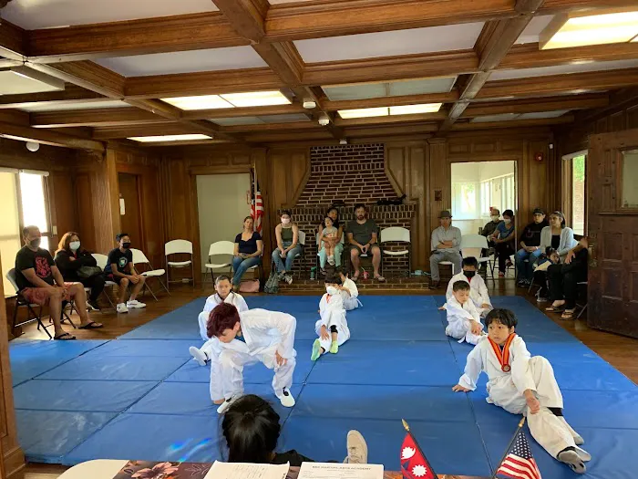 Bee Martial Arts Academy Picture 1