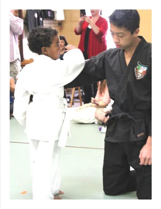 American Kenpo Karate Picture 4